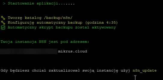 Wynik instalacji — adres instancji